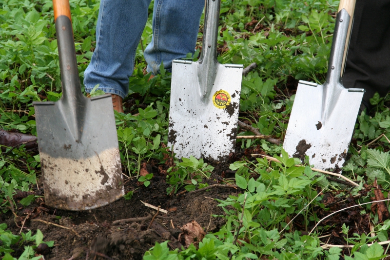 pepiniere-OPIO-min_work-lawn-flower-tool-green-backyard-1103633-pxhere.com